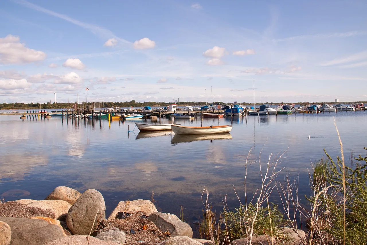 hvidovre, harbour, natur, boats, denmark, danish, nordic, sea, fishery, maritime, ocean, summer, cloudscape, rocks